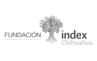 indev2